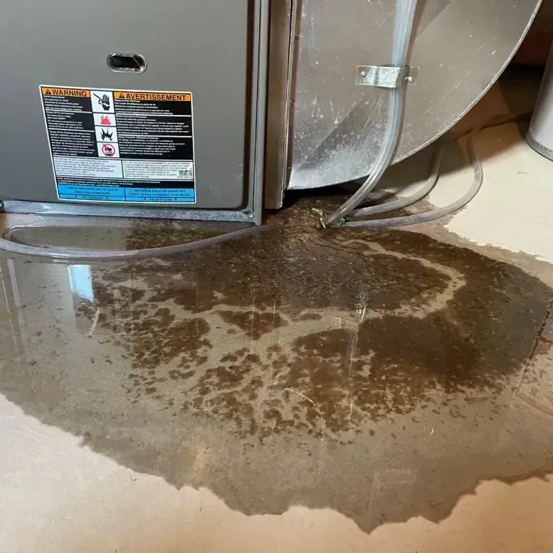 Appliance Leak Cleanup in Bath County, KY